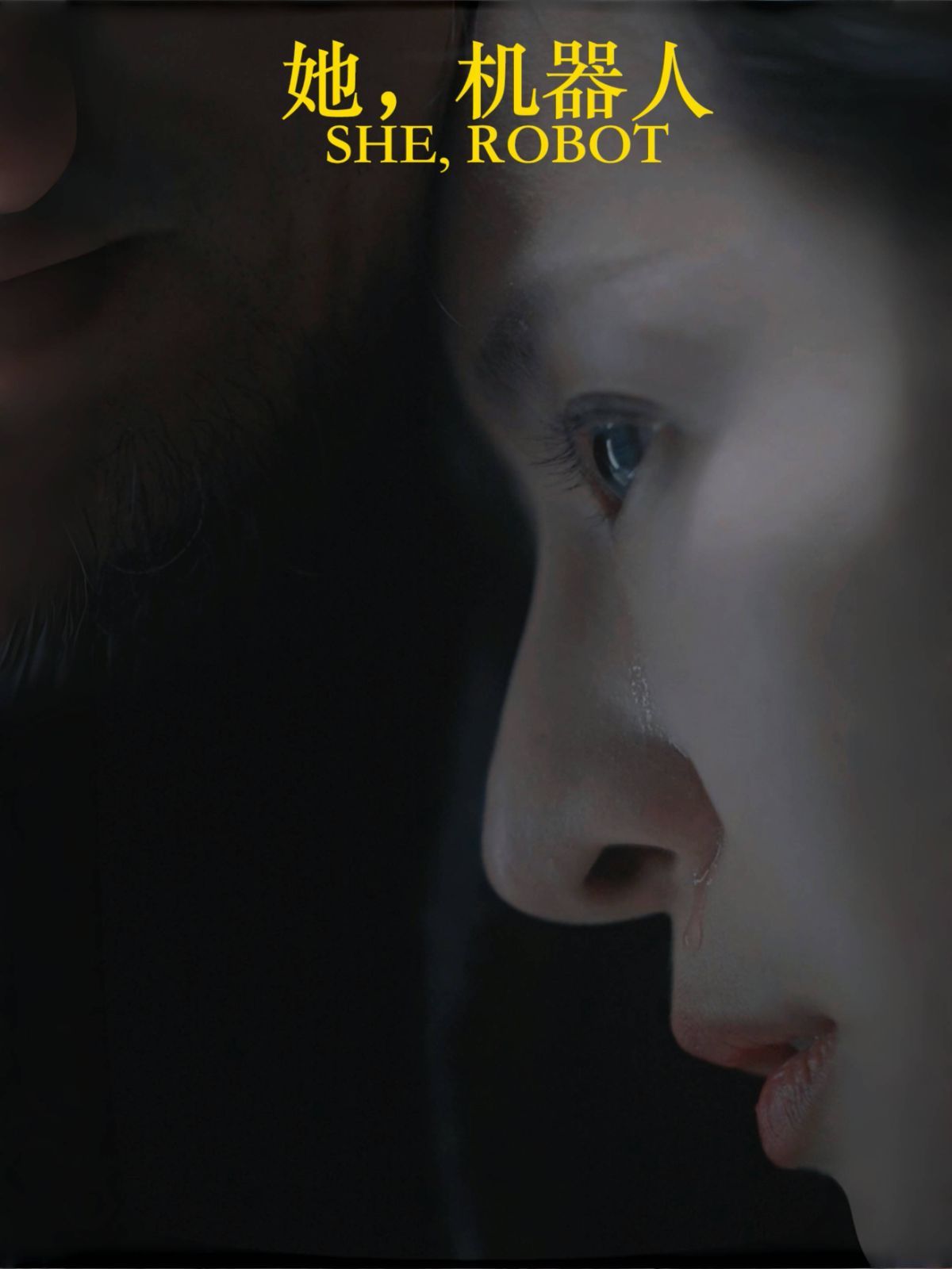 她，機器人（她機器人）(全集)