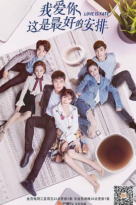 我愛你，這是最好的安排(全集)