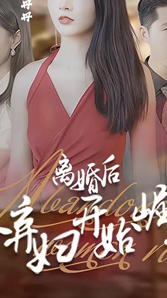 離婚后，從棄婦開始崛起(全集)