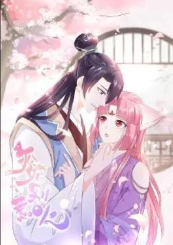 狐妃，別惹火