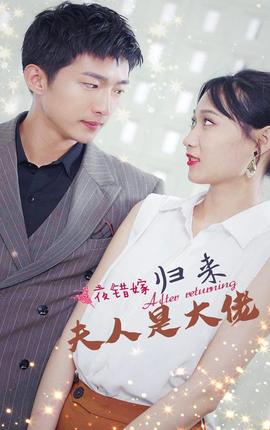 一夜錯嫁，歸來夫人是大佬(全集)