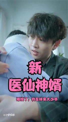 攤牌了，我是林家大少爺(新：醫(yī)仙神婿)(全集)