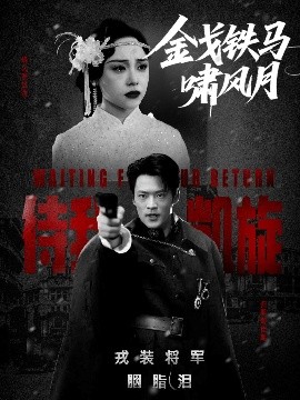 金戈鐵馬嘯風(fēng)月(全集)