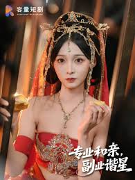 專業(yè)和親，副業(yè)諧星(全集)