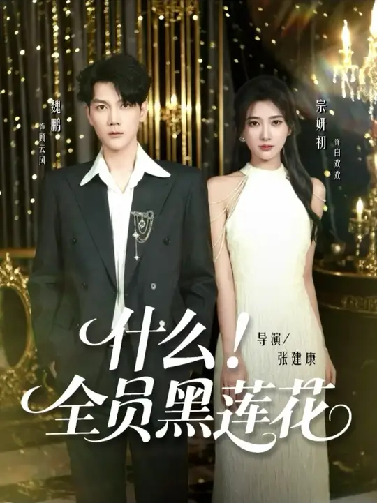 什么全員黑蓮花(全集)