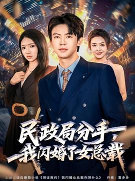 民政局分手，我閃婚了女總裁(全集)