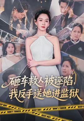 砸車救人被誣陷，我反手送她進(jìn)監(jiān)獄(全集)