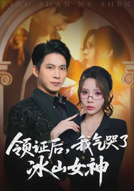 領(lǐng)證后，我氣哭了冰山女神(全集)