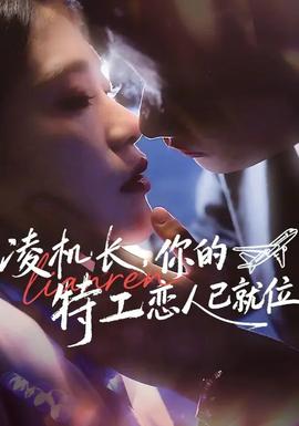 凌機長，你的特工戀人已就位(全集)